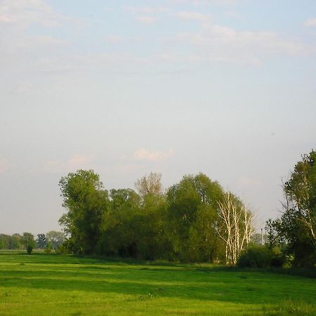 Parkhotel Schönewalde Kültér fotó