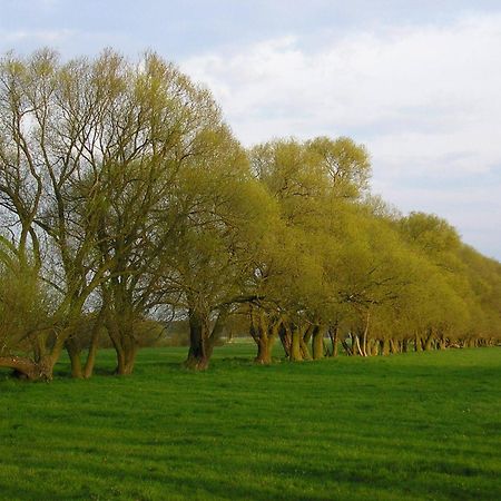 Parkhotel Schönewalde Kültér fotó